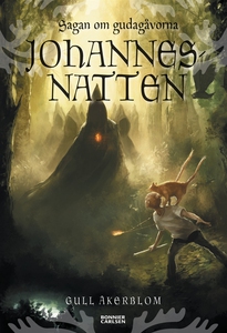 Johannesnatten (e-bok) av Gull Åkerblom