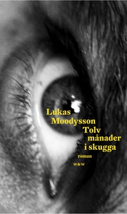 Tolv månader i skugga (e-bok) av Lukas Moodysso