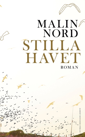 Stilla havet (e-bok) av Malin Nord