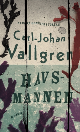 Havsmannen (e-bok) av Carl-Johan Vallgren