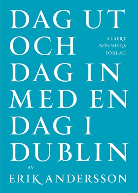 Dag ut och dag in med en dag i Dublin (e-bok) a