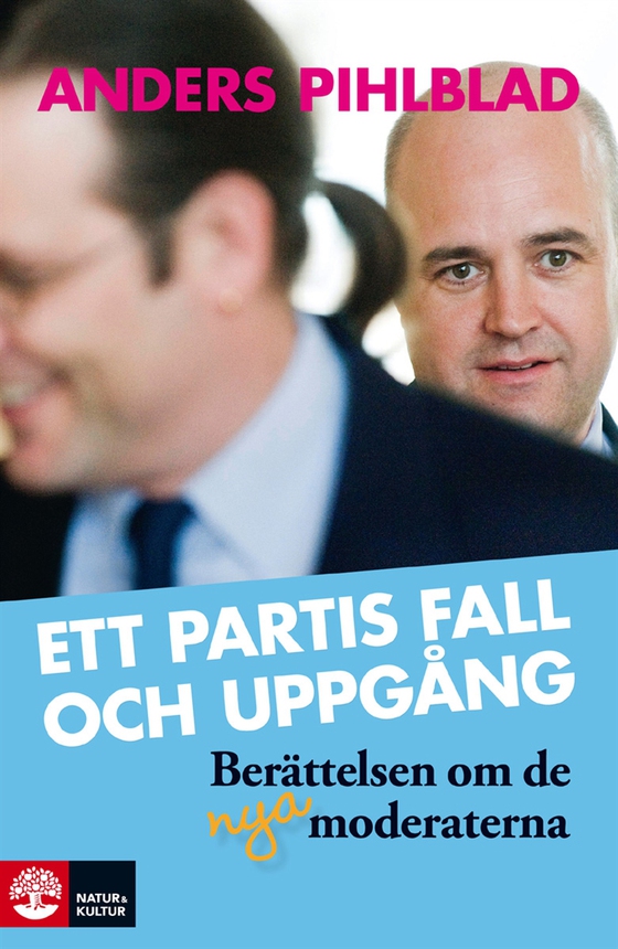 Ett partis fall och uppgång