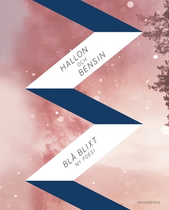 Hallon och bensin (e-bok) av Karin Brygger, Lin