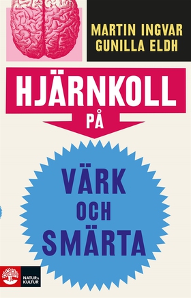 Hjärnkoll på värk och smärta (e-bok) av Martin 