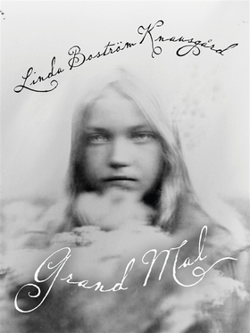 Grand mal (e-bok) av Linda Boström Knausgård