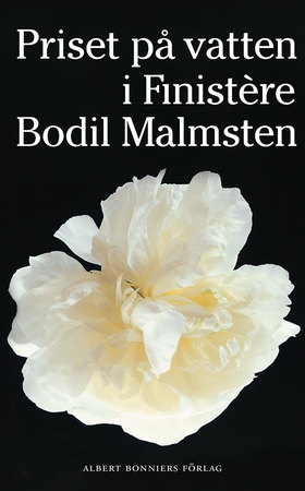 Priset på vatten i Finistère (e-bok) av Bodil M