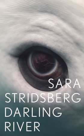 Darling River (e-bok) av Sara Stridsberg