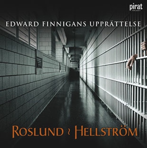Edward Finnigans upprättelse (ljudbok) av Rosl