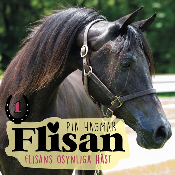 Flisan 1 - Flisans osynliga häst (ljudbok) av Pia Hagmar