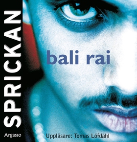 Sprickan (ljudbok) av Bali Rai