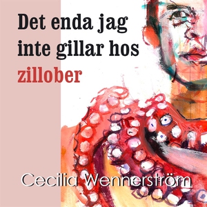 Det enda jag inte gillar hos zillober (ljudbok)