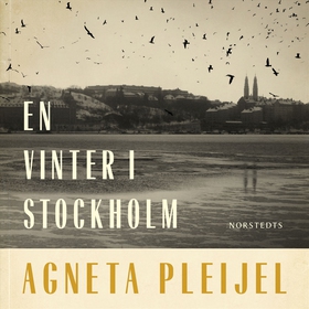 En vinter i Stockholm (ljudbok) av Agneta Pleij