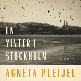 En vinter i Stockholm (ljudbok) av Agneta Pleij