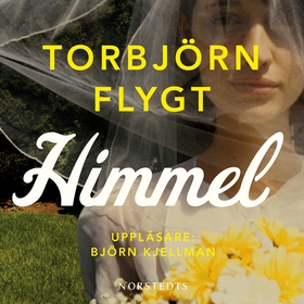 Himmel (ljudbok) av Torbjörn Flygt