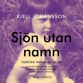 Sjön utan namn (ljudbok) av Kjell Johansson