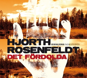 Det fördolda (ljudbok) av Hans Rosenfeldt, Mich