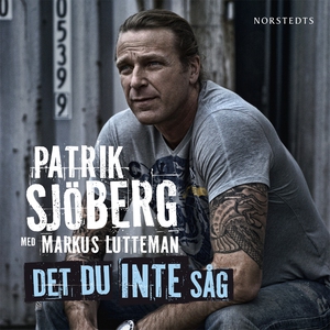 Det du inte såg (ljudbok) av Markus Lutteman, P