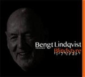 Blindstyre (ljudbok) av Bengt Lindqvist