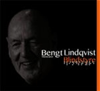 Blindstyre (ljudbok) av Bengt Lindqvist
