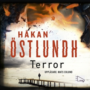 Terror (ljudbok) av Håkan Östlundh