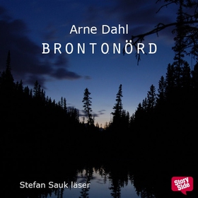 Brontonörd (ljudbok) av Arne Dahl