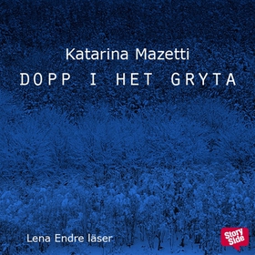 Dopp i het gryta (ljudbok) av Katarina Mazetti