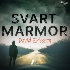Svart Marmor (ljudbok) av David Ericsson