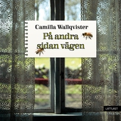 På andra sidan vägen (lättläst)