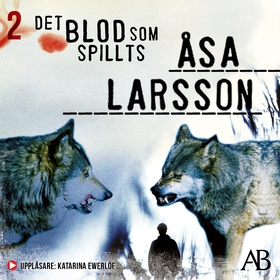 Det blod som spillts (ljudbok) av Åsa Larsson