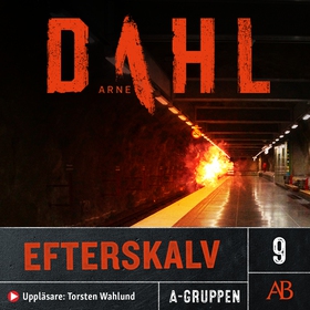 Efterskalv (ljudbok) av Arne Dahl