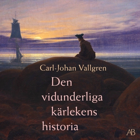 Den vidunderliga kärlekens historia (ljudbok) a