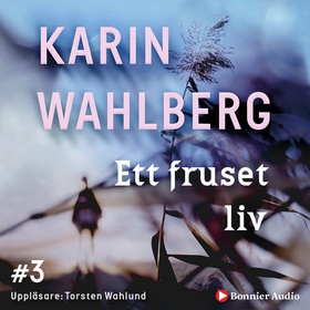 Ett fruset liv (ljudbok) av Karin Wahlberg