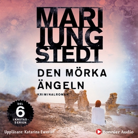 Den mörka ängeln (ljudbok) av Mari Jungstedt
