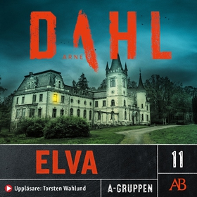 Elva (ljudbok) av Arne Dahl