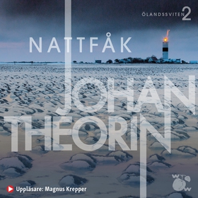 Nattfåk (ljudbok) av Johan Theorin