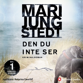 Den du inte ser (ljudbok) av Mari Jungstedt