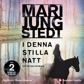 I denna stilla natt (ljudbok) av Mari Jungstedt