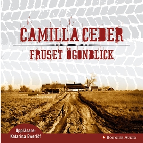 Fruset ögonblick (ljudbok) av Camilla Ceder