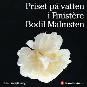 Priset på vatten i Finistère (ljudbok) av Bodil