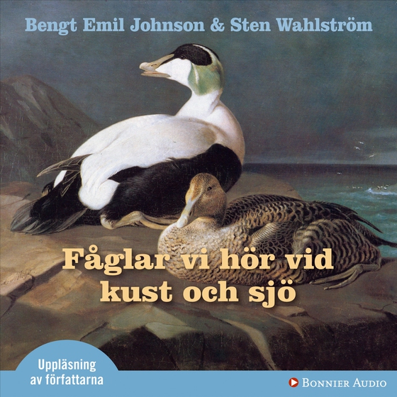 Fåglar vi hör vid kust och sjö