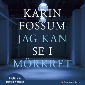 Jag kan se i mörkret (ljudbok) av Karin Fossum