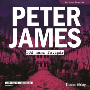 Död mans fotspår (ljudbok) av Peter James
