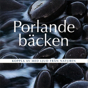 Porlande bäcken (ljudbok) av Björn Melander