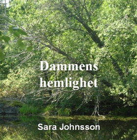 Dammens hemlighet (ljudbok) av Sara Johnsson