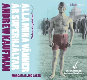 Alla mina vänner är superhjältar (ljudbok) av A