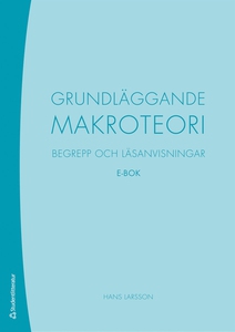 Grundläggande makroteori (e-bok) av Hans Larsso