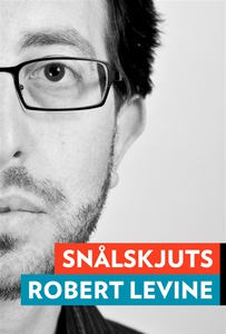 Snålskjuts : Myten om affärsmodellen (e-bok) av