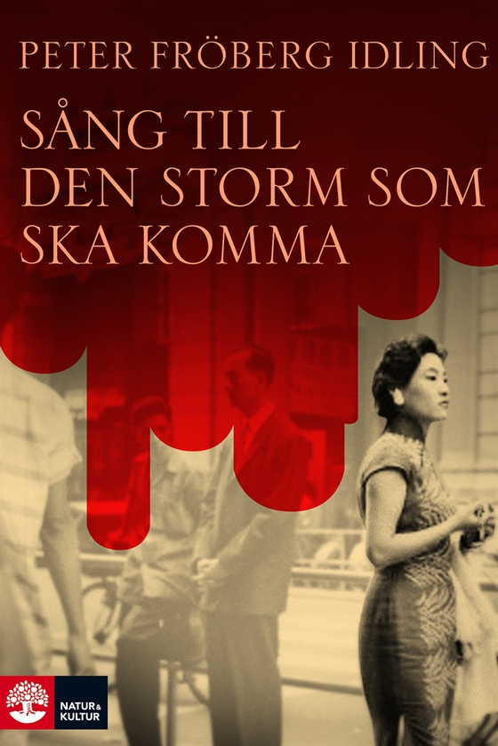Sång till den storm som ska komma (e-bok) av Peter Fröberg Idling