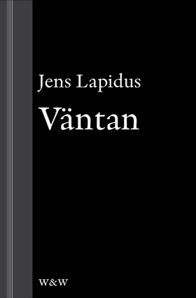 Väntan: En novell ur Mamma försökte (e-bok) av