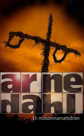 En midsommarnattsdröm (e-bok) av Arne Dahl